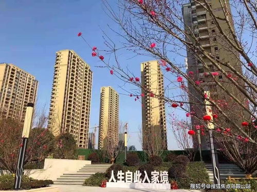 鎮江新盤速遞 一站式獲取樓盤動態、地址戶型與教育資源解析