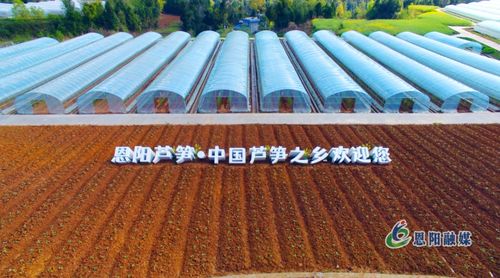 夯實(shí)發(fā)展根基 繪就城鄉(xiāng)融合新畫卷——全市“三區(qū)同建”暨一季度重點(diǎn)項(xiàng)目建設(shè)現(xiàn)場(chǎng)推進(jìn)會(huì)走進(jìn)恩陽(yáng)區(qū)側(cè)記