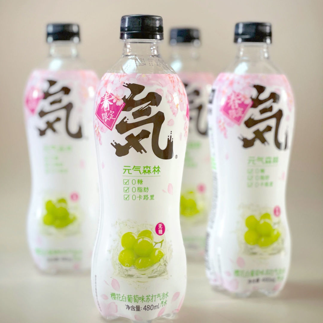 元?dú)馍痔K打氣泡水 夏日網(wǎng)紅飲品的批發(fā)新選擇