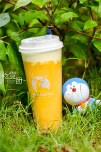 火爆全福州的小鹿茶測(cè)評(píng)來(lái)了！一口氣喝了5杯，你的夏日飲品要更新了